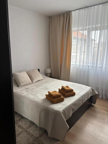 Urban apartament in Craiovita Noua