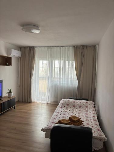 Urban apartament in Craiovita Noua