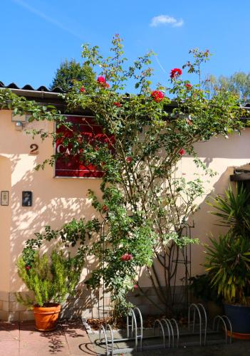 Casa Hotel Neu-Isenburg - main image