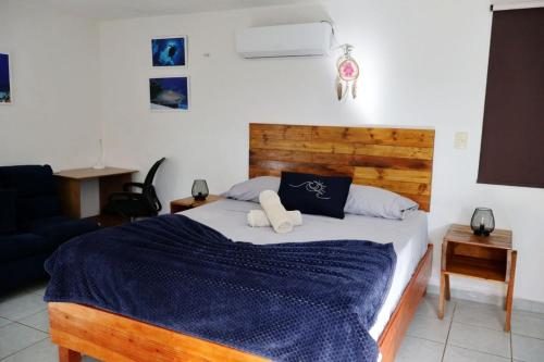 Equipped Yaxkin Studio on downtown, 3 blocks away from sea, close to restaurants in Cozumel, Mexico