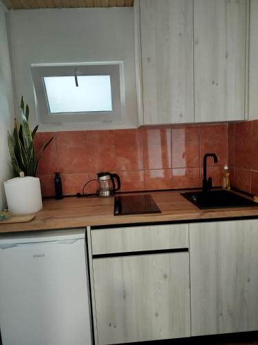 Apartman Vidaković (Apartman Vidakovic) in Šid