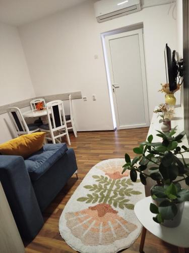 Apartman Vidaković (Apartman Vidakovic) in Šid