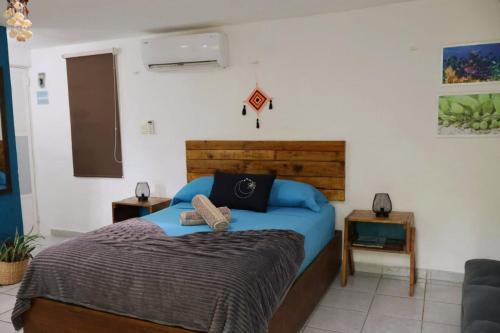 Comfy studio Yaxkin on downtown, 3 block away from sea and sunsets in Cozumel, Mexico