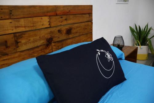 Comfy studio Yaxkin on downtown, 3 block away from sea and sunsets in Cozumel, Mexico