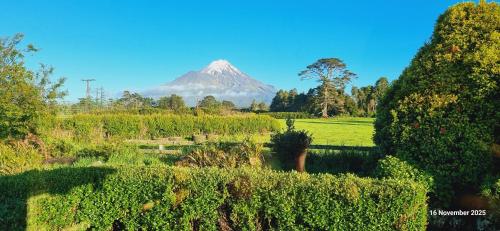 View, Mount Taranaki Basecamp 4BR Farmhouse & Games Room in Pembroke