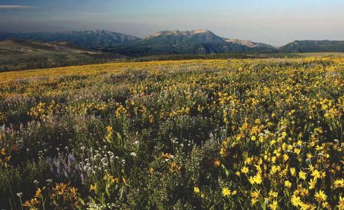 Trappers Ridge Home Stunning Mountain Views and Family Fun - image 7