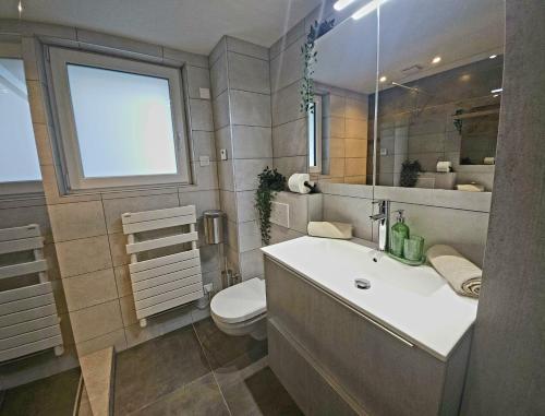 Appartement Familial- T3 LUXE- Borne VE- Recharging Station - 5min de la Gare- Colmar