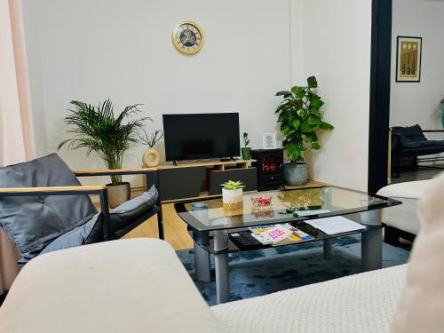 Black and Ginger Residence - Location saisonnière - Zrenjanin