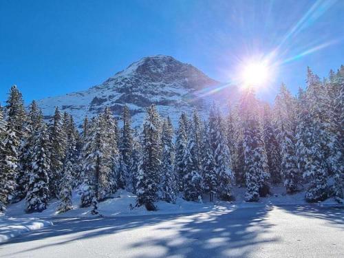 Instalaciones, Holiday apartment I in Chalet Bodenwald in Grindelwald Suburbs