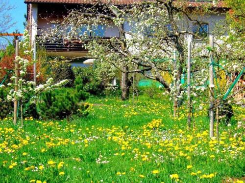 Holiday apartment with 1 bedroom in Rottweil, Deutschland