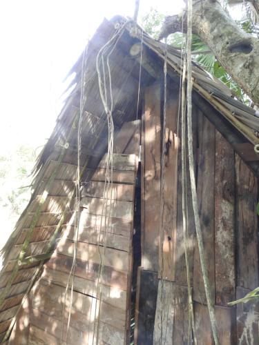 Siem Reap Tree Top Eco Lodge in Puok