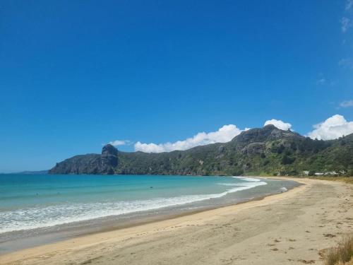 Beach, Sub-Tropical Paradise Retreat Willow Creek Cabin with Access to Sauna in Whangaroa