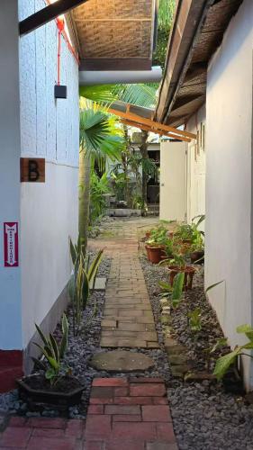 AA Jungle Guesthouse in Siquijor Island