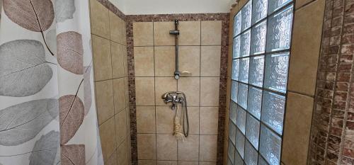 Spacious 2 Bdrm Swahili Apartment with Pool in Mtwapa