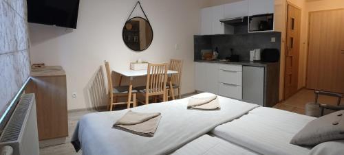 Studio Sucha 309 - Apartment - Karpacz - Kopa