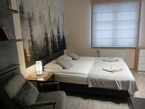 Studio Sucha 309 - Apartment - Karpacz - Kopa