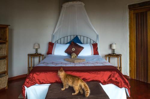 Exterior view, Delicious Monster Accommodation in Port St Johns