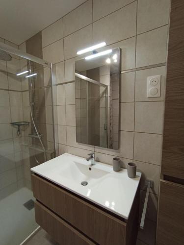 샤워실, Konos Suites Apartment in Puy-En-Velay in 르 퓌 앙 블레