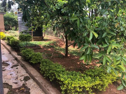 Quiet Stay Haven in Kabuga