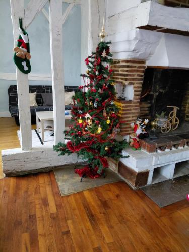 Maison à Troyes - Location saisonnière - Troyes