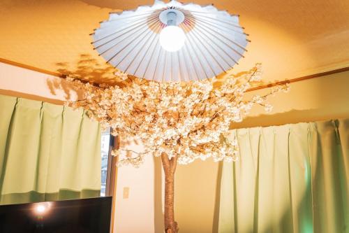 Sakura Gallery Stay Art House near OdawaraCastle