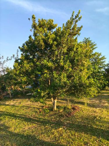 Khao Kho RATTHANATHON Farm Hotel restaurant