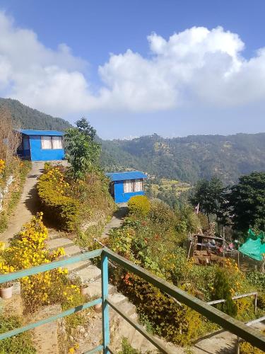 Gaurishankar organic home stay in Balthali