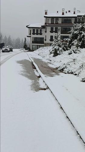 Аppartment Dreams in Pamporovo