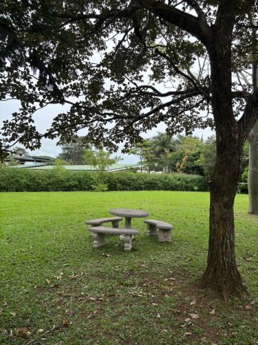 Garden, Bonsai House in Brasil