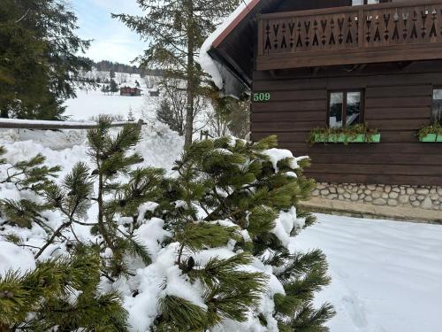 Summit Chalet Ždiar (Summit Chalet Zdiar) in 茲蒂亞爾