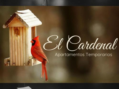Departamento 3, El Cardenal, Sinsacate