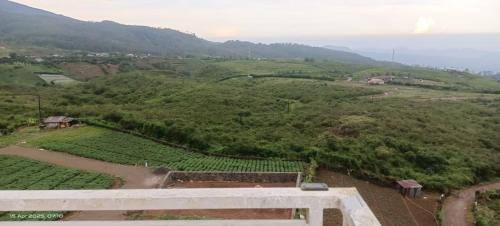 The Royal Highland Villa Malino Homestay in Tinggimoncong