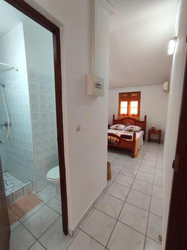 La Canopee in Pointe-Noire