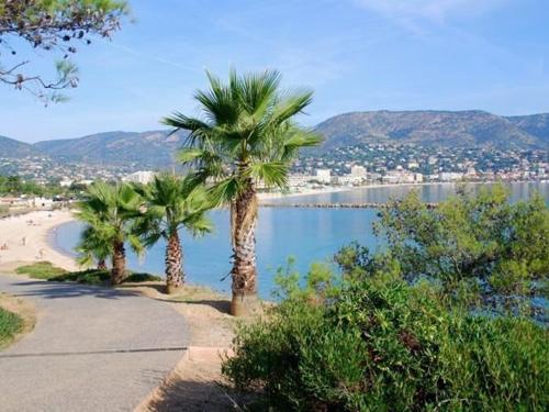 Appartement 2 pièces, 5 couchages, proche plage, parking privatif - FR-1-251-888 (Appartement 2 pieces, 5 couchages, proche plage, parking privatif - FR-1-251-888) in 보르므 레 미모사
