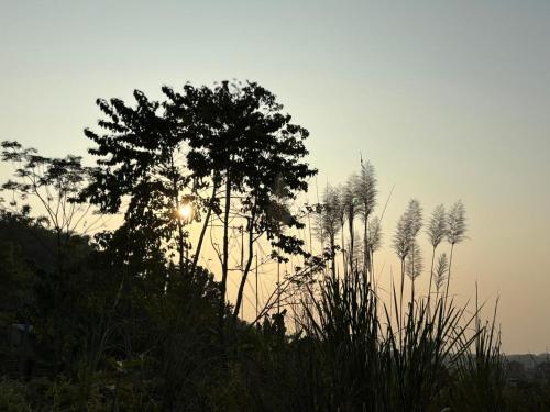 Iekārtas, Teplong The Paix, Kaziranga National Park in Jakhalabandha