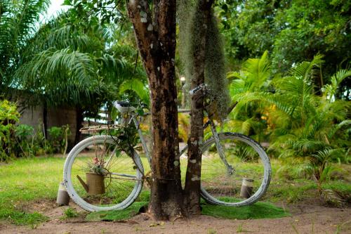 Le Jardin Arhumatic Sambava in Sambava