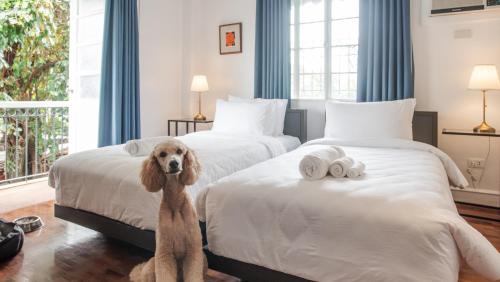 MiraNamin Nest KAMANTIGI - Two Bed Suite in Historic Home with Luxury Indoor Plunge Pool, Garden Access, Self-Service Breakfast, Guest Kitchen, Pet-Friendly