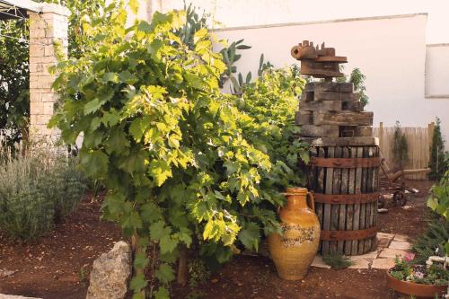 Corte Trullo Sovrano B&B 5