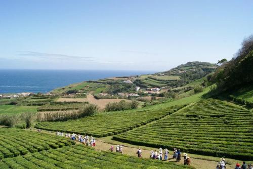 Ribeirinha House in ปอร์โต ฟอร์โมโซ