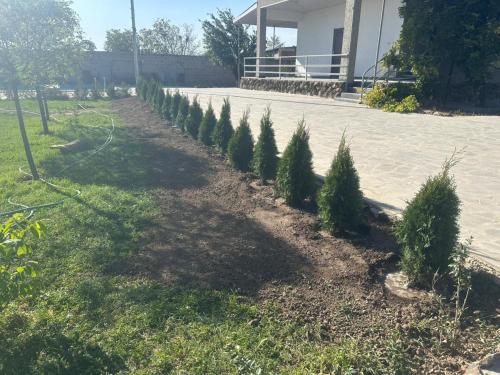 Garden Guesthouse in Nurnus