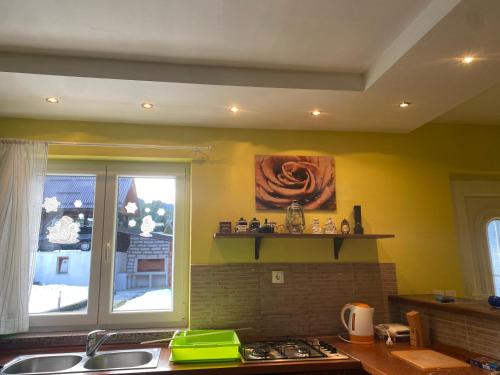 Holiday Home Dzelalija in Stara Susica