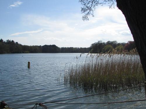 Decoy Barn Fritton - image 2