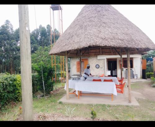 White Cat Guest Inn in Bushenyi