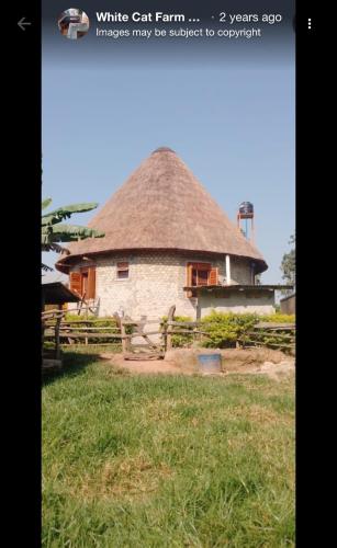 White Cat Guest Inn in Bushenyi