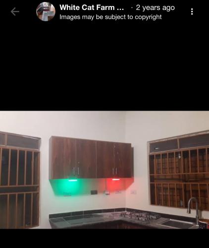 White Cat Guest Inn in Bushenyi
