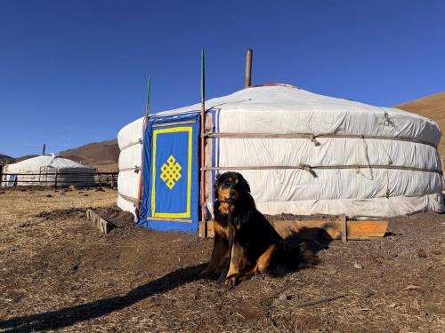 Nomadic home stay – khách sạn tại Khujirt