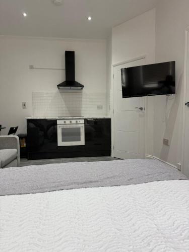 Modern Luxe Studio Flat - image 4