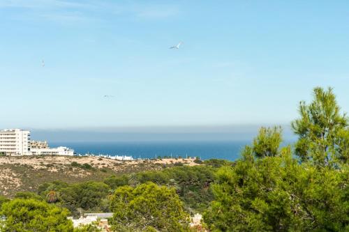 Modern Sea View Apartment - image 4