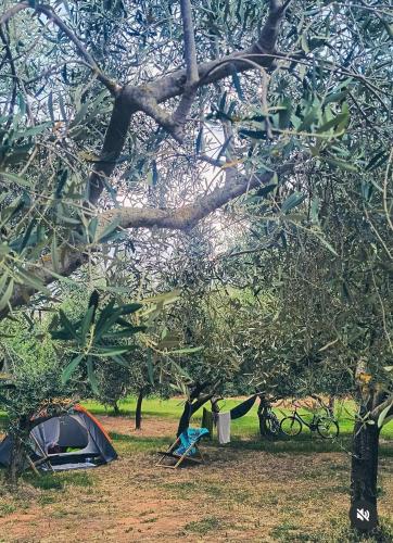 Camping Volme Tent 2