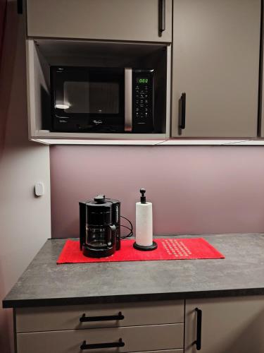 Facilities, Ounas Cabin in Tapio